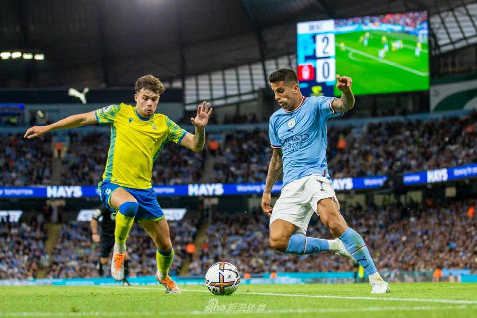 际化视野 际化视野